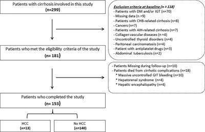 De Novo Hepatocellular Carcinoma in Hepatitis C-Related Cirrhosis: Are Advanced Glycation End Products a Key Driver?